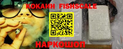 твердый Сланцы