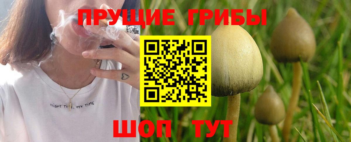 Галлюциногенные грибы мухоморы Сафоново